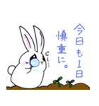 ステキな1日を願うウサギさん（個別スタンプ：13）