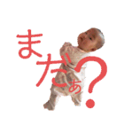 おふぅうう（個別スタンプ：25）
