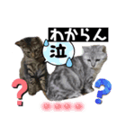 にゃんこ 愛猫（個別スタンプ：2）