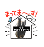 にゃんこ 愛猫（個別スタンプ：8）