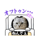 にゃんこ 愛猫（個別スタンプ：13）