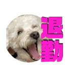 おかくんと仲間たち（個別スタンプ：4）