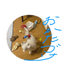 おかくんと仲間たち（個別スタンプ：7）