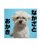 おかくんと仲間たち（個別スタンプ：10）