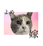 おかくんと仲間たち（個別スタンプ：13）