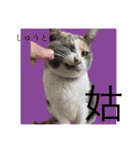 おかくんと仲間たち（個別スタンプ：14）