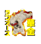 おかくんと仲間たち（個別スタンプ：17）