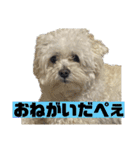 おかくんと仲間たち（個別スタンプ：18）