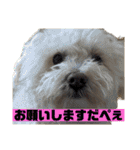 おかくんと仲間たち（個別スタンプ：19）