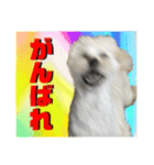 おかくんと仲間たち（個別スタンプ：28）