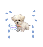 CoCoの日常◡̈⃝︎⋆︎*（個別スタンプ：9）
