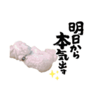 CoCoの日常◡̈⃝︎⋆︎*（個別スタンプ：11）