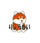 柴犬 あいさつ 001（個別スタンプ：3）