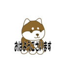 柴犬 あいさつ 001（個別スタンプ：8）