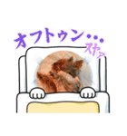こむぎですが（個別スタンプ：8）
