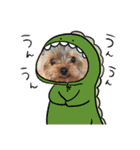 こむぎですが（個別スタンプ：15）