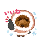 トイプードルみんとのスタンプ（個別スタンプ：1）