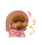 トイプードルみんとのスタンプ（個別スタンプ：14）