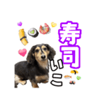 ラムちゃんすたぁんぷ（個別スタンプ：5）