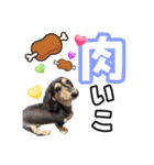 ラムちゃんすたぁんぷ（個別スタンプ：6）