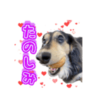 ラムちゃんすたぁんぷ（個別スタンプ：11）