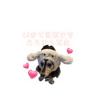 ラムちゃんすたぁんぷ（個別スタンプ：20）