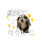 ラムちゃんすたぁんぷ（個別スタンプ：23）