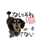ラムちゃんすたぁんぷ（個別スタンプ：24）