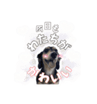 ラムちゃんすたぁんぷ（個別スタンプ：34）