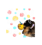 ラムちゃんすたぁんぷ（個別スタンプ：38）