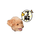 まろりんの日常3（個別スタンプ：2）