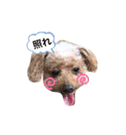 まろりんの日常3（個別スタンプ：14）