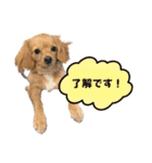 れんとりたとロイ②（個別スタンプ：6）