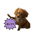 れんとりたとロイ②（個別スタンプ：8）