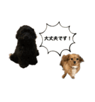 れんとりたとロイ②（個別スタンプ：10）