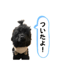 れんとりたとロイ②（個別スタンプ：11）