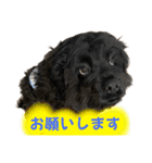 れんとりたとロイ②（個別スタンプ：14）