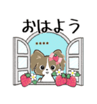 ♡愛犬の名前が入る♡パピヨン×いちご♡（個別スタンプ：13）