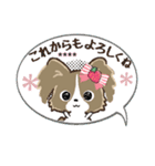 ♡愛犬の名前が入る♡パピヨン×いちご♡（個別スタンプ：36）