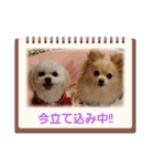 私のLUNA＆SEAだワン！！（個別スタンプ：3）