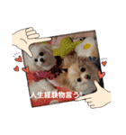 私のLUNA＆SEAだワン！！（個別スタンプ：6）