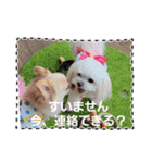 私のLUNA＆SEAだワン！！（個別スタンプ：8）
