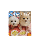 私のLUNA＆SEAだワン！！（個別スタンプ：9）