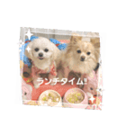 私のLUNA＆SEAだワン！！（個別スタンプ：10）