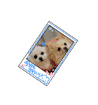 私のLUNA＆SEAだワン！！（個別スタンプ：14）