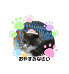 クマちゃんトラちゃん（個別スタンプ：4）