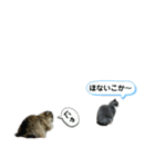 クマちゃんトラちゃん（個別スタンプ：8）