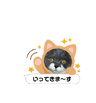クマちゃんトラちゃん（個別スタンプ：9）