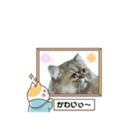 クマちゃんトラちゃん（個別スタンプ：29）