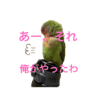 うちのbirdたち2（個別スタンプ：4）